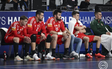 Férfi kézilabda-vb - Rodríguez szerint nem veszített, hanem szerzett egy pontot a magyar válogatott